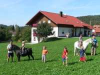 Bauernhof Urlaub im Landkreis Regen - Landurlaub mit Natur Tiere Traktor
