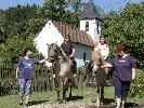 Bayerischer Wald - Reiturlaub auf dem Bauernhof