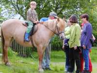 Reiterferien im Bayerischen Wald in Bayern