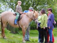 Reiterferien im Bayerischen Wald in Bayern