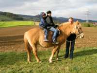 Reiten in Bayern im Bayerischen Wald