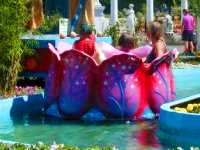 preiswerter Familienurlaub Bayerischer Wald