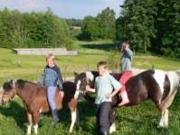 Urlaub am Bauernhof Kopp bei Bodenmais - Pony reiten