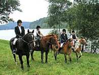 Reitkurse Reitunterricht auf der Reitschule Fuchsenhof