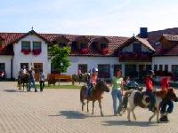 Bauernhof mit Ponys