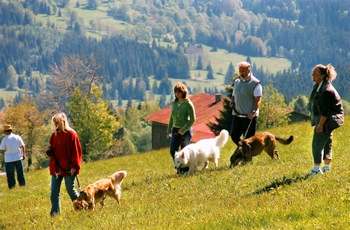 Wanderurlaub mit Hund im Bayerischen Wald