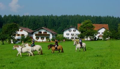 Erlebnis Bauernhof Wieshof Kirchberg Ponyreiten