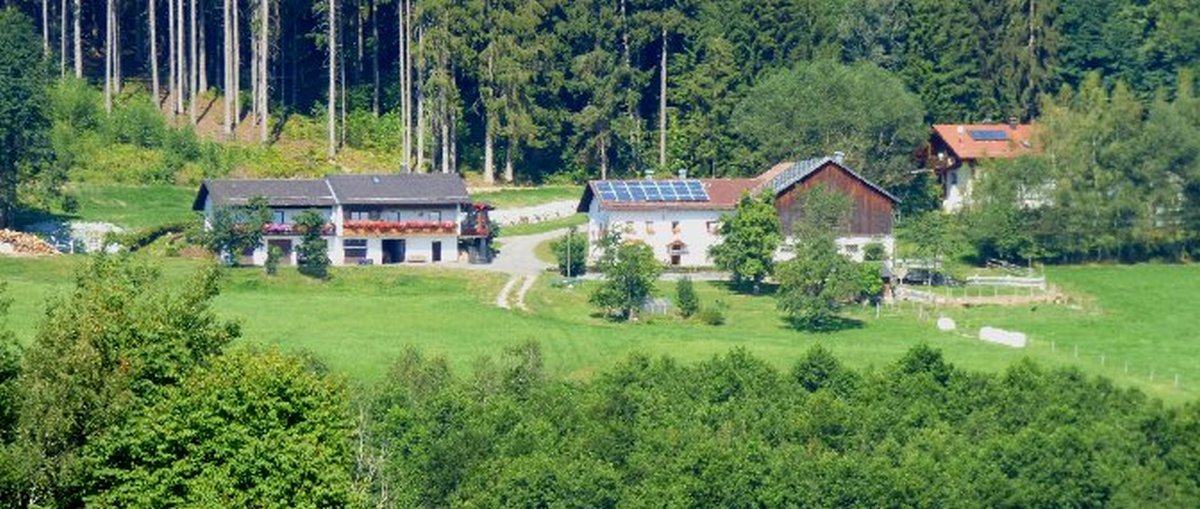 Ferienhaus Achatz Franz in Patersdorf Ferienhof mit toller Aussicht in Bayern