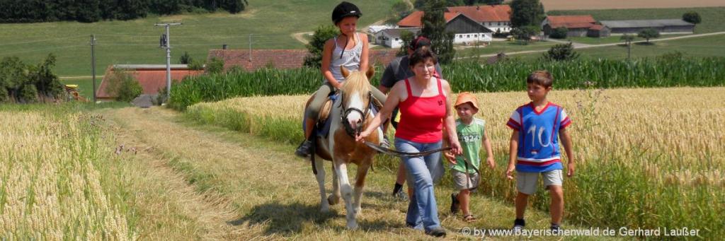 Bauernhofurlaub mit Ponyreiten Ferienhof in Rinchnach Urlaub am Bauernhof mit Ponys in Gehmannsberg