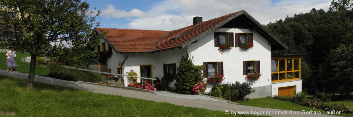 Bayerischer Wald Ferienhäuser