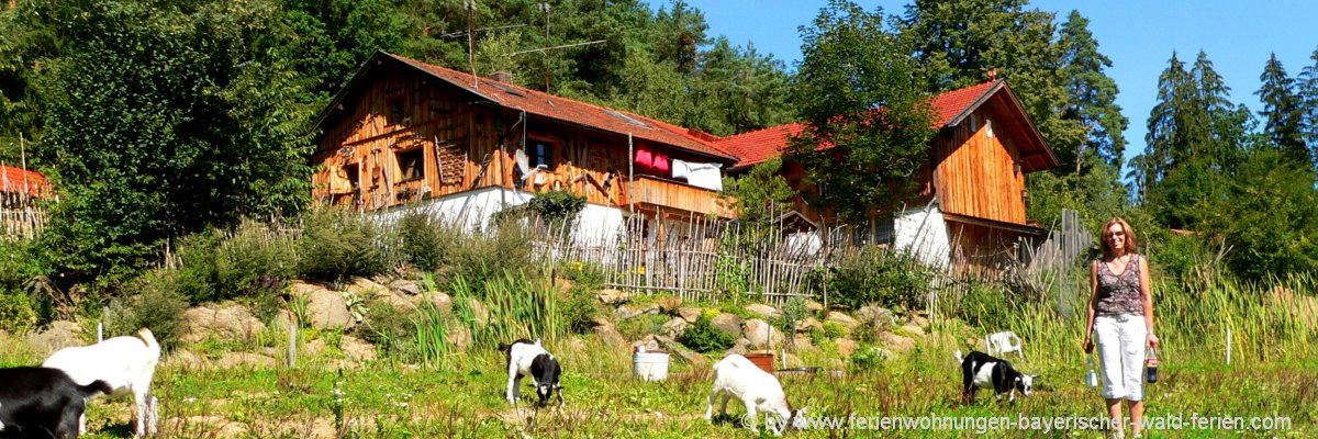 Originelle Bayerischer Wald Almhütte mieten in Bayern, Niederbayern & Oberpfalz