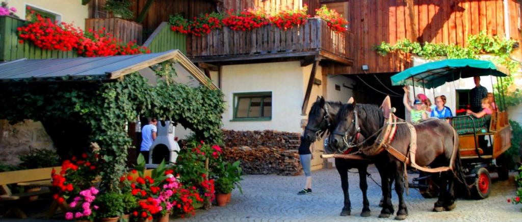 brechenmacherhof-gehmannsberg-bauernhof-rinchnach-bayerischer-wald-kutschfahrt