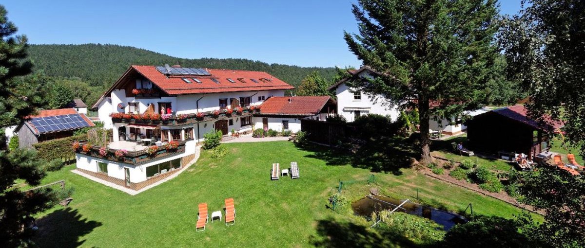 Eder Haus am Berg Rinchnach Hotel Bayerischer Wald Kinder