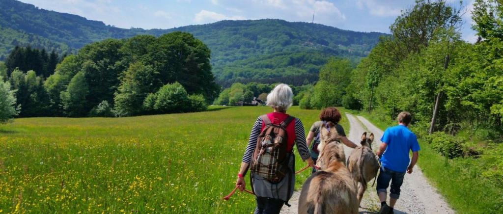 Hütte 2 Personen Bayerischer Wald Eselwandern mit Übernachtung in Bayern