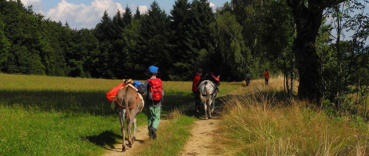 Kuschelige Ferienhütte für zwei im Bayerischen Wald am Eselhof mit Eselwanderung in Niederbayern