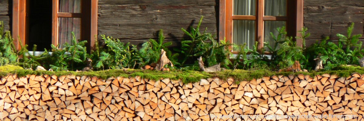 ferienhütten-bayerischer-wald-blockhaus-berghuetten-niederbayern