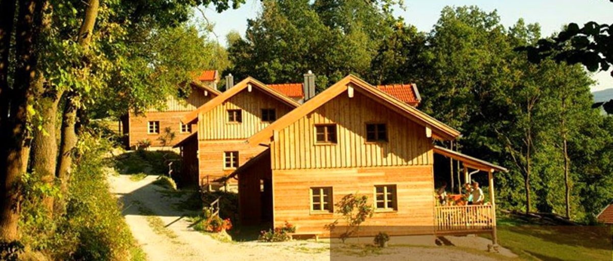 You are currently viewing Holz Ferienhäuser mit Kaminofen Chalets in Altnussberg