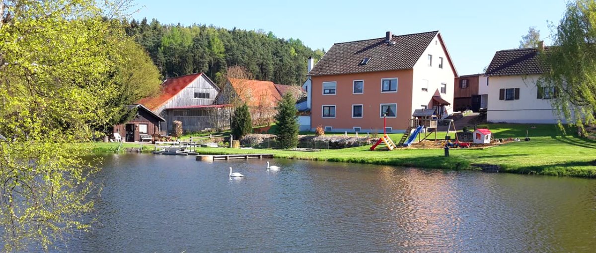 Oberpfalz Ferienhaus am See mieten im Landkreis Schwandorf