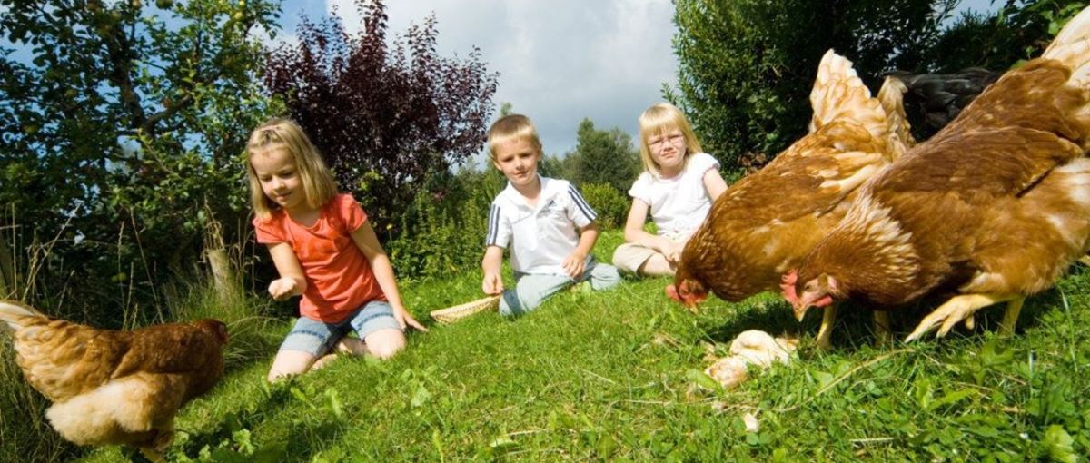 Fuchshof in Sankt Englmar Bauernhofurlaub & Familienurlaub