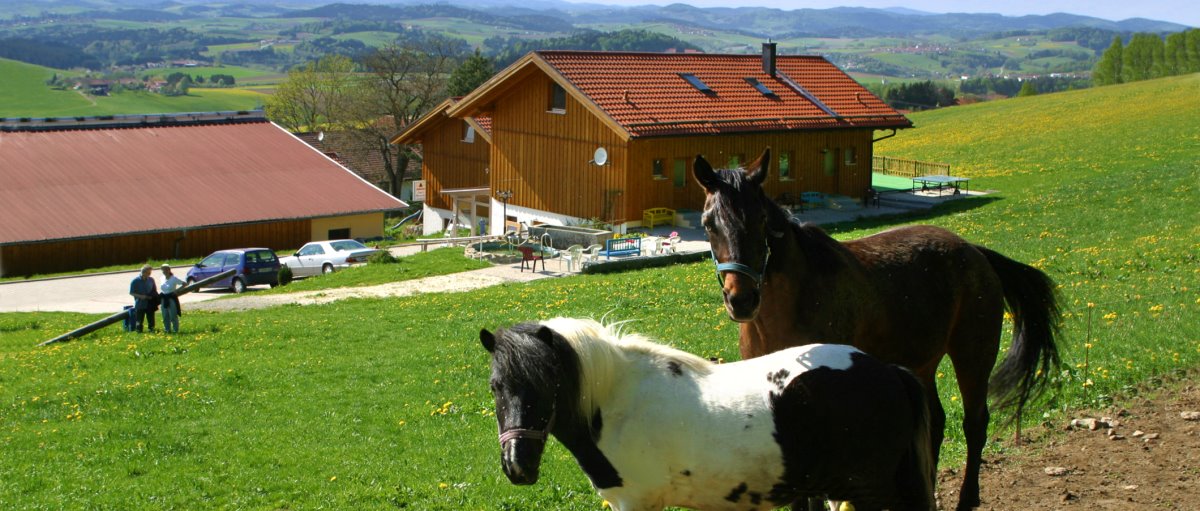 Holzhaus am Gammerhof in Waldkirchen Bauernhof Pauli Ferienhaus