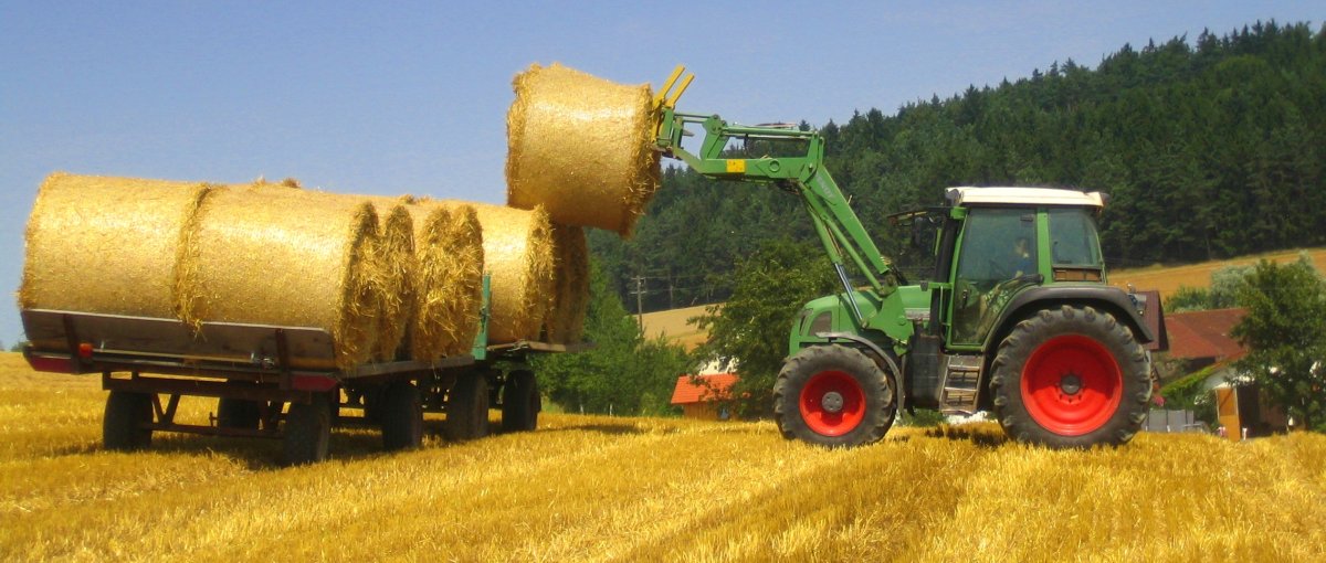 Urlaub in Michelsneukirchen Bauernhof mit Ponyreiten und Traktor fahren