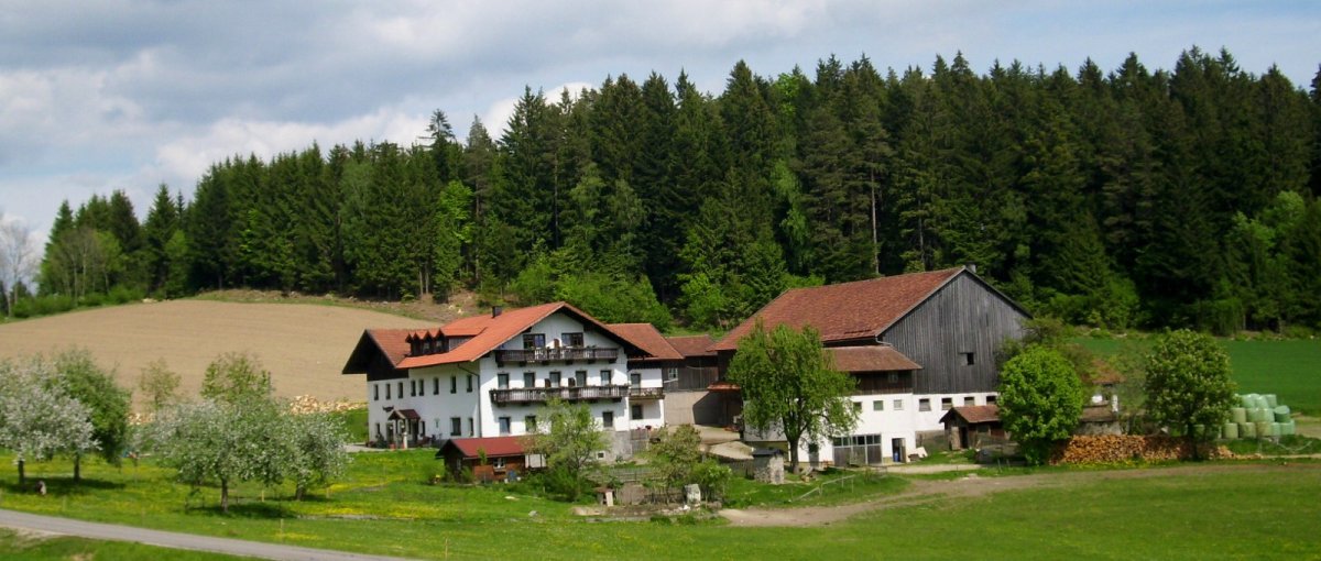 You are currently viewing Bauernhof Hacker in Patersdorf Ferienbauernhof mit Halbpension