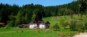 Read more about the article Hacker die Bergpension in Perlesried Bayerischer Wald