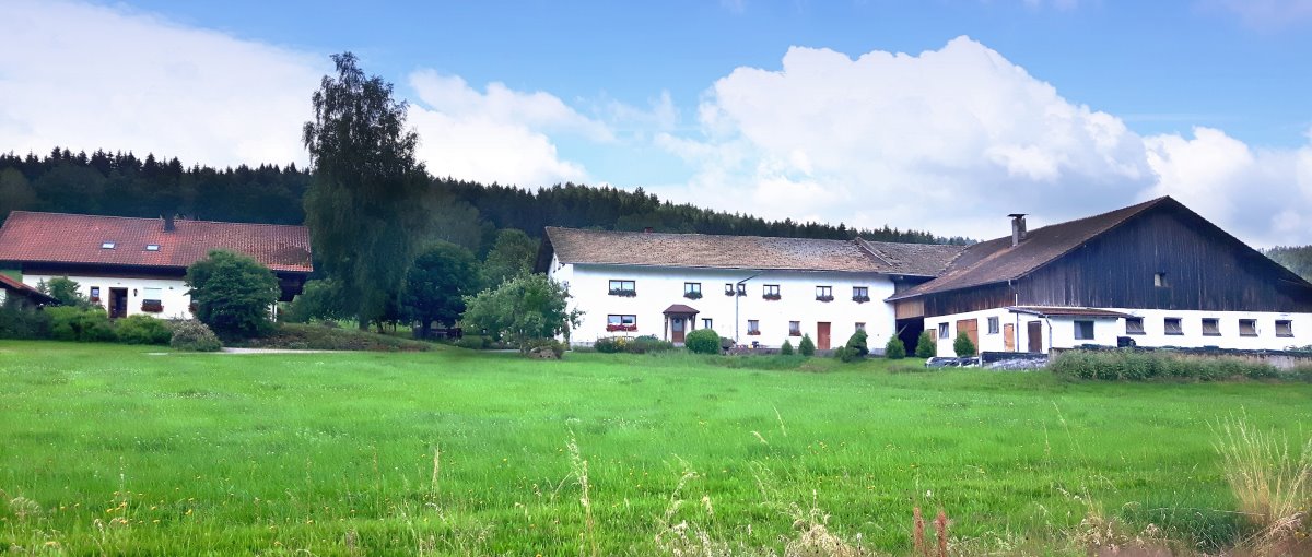 hofmann-kaitersbach-bauernhof-bad-koetzting-ferienhof-kaitersberg-1200