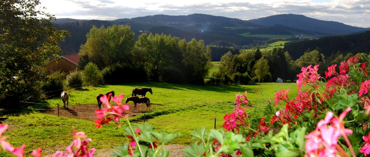 Urlaub auf dem Bauernhof Kroner in Gehmannsberg Ferienwohnungen bei Rinchnach