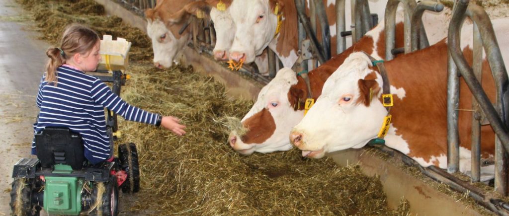 Unterkunft am Bauernhof Heimerl in Grub - Kuhstall Tiere Kühe füttern