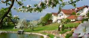 Read more about the article Landhotel Miethaner am Höllensteinsee Bayerischer Wald