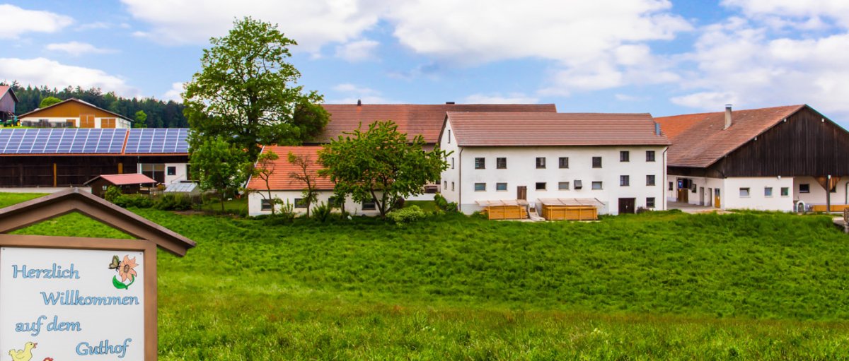 You are currently viewing Bauernhof Piendl Ferienwohnung in Guthof ebenerdig & preiswert