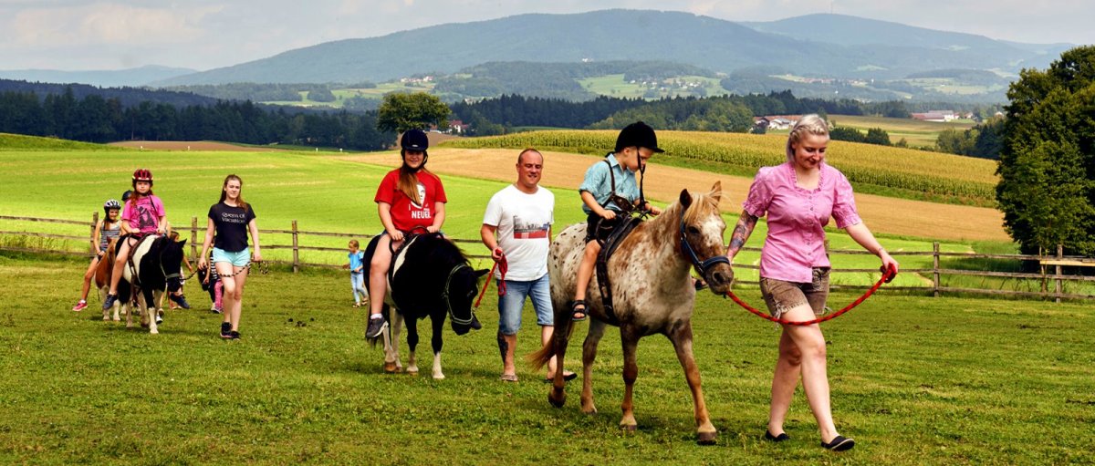 Niederbayern Ponyferienhof Eder in Mimming Ponyhof bei Deggendorf