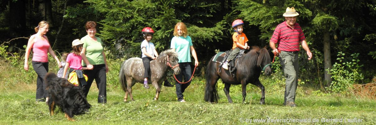 You are currently viewing Reiterferien im Bayerischen Wald