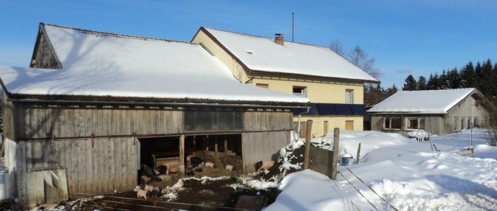 scherm-biobauernhof-kirchberg-biohof-regen-bayerischer-wald