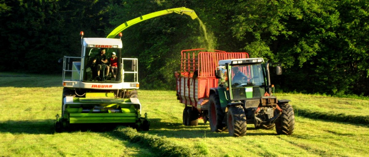 Traktor fahren bei Schneider Hoffelder Wirt Bauernhof in Tiefenbach Oberpfalz