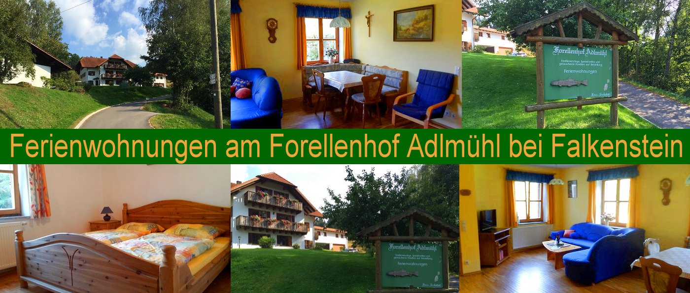 Forellenhof Adlmühl bei Falkenstein Ferienwohnung Solleder in Völling