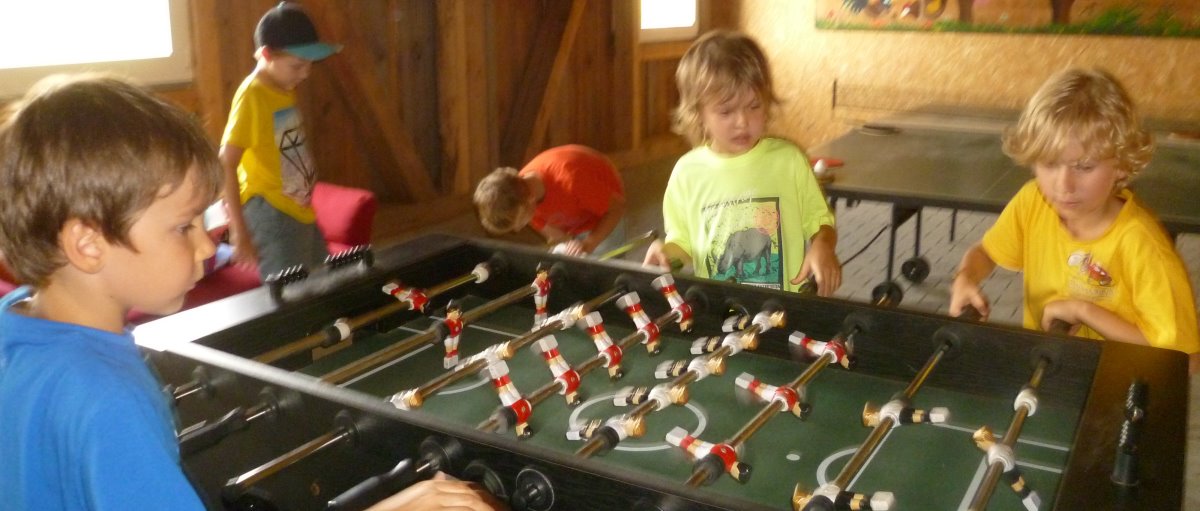 Bauernhof mit Spielscheune in Bayern Ferienhof bei Sattelbogen