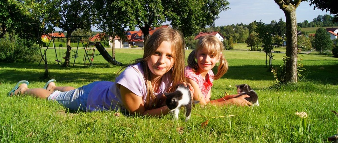 Urlaub am Bauernhof mit Tieren - Katzen streicheln wagner-falkenstein-bauernhof-mit-tieren-bayern-kinderurlaub-familienferien