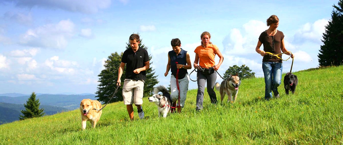 wandern mit hund bayern