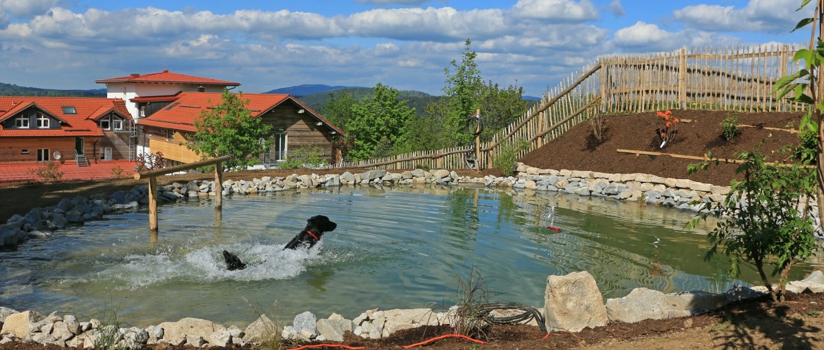 Wandern mit Hund in Bayern - Hundehotel in Deutschland