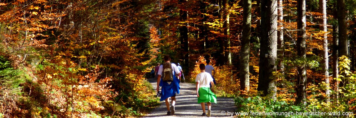 You are currently viewing Wanderurlaub im Bayerischen Wald