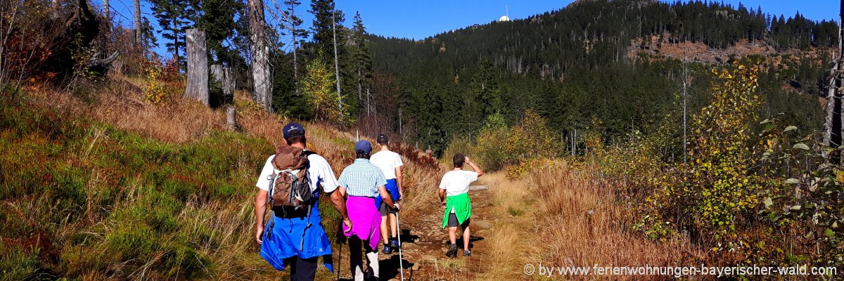 wandern-bayerischer-wald-wanderhotels-niederbayern