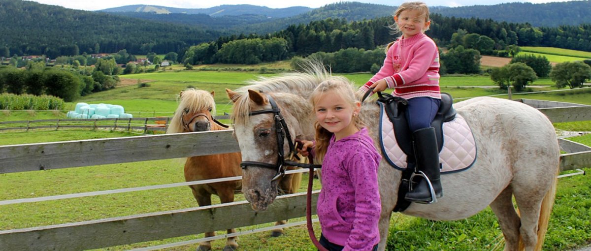 Familien und Wellness Urlaub im Geisskopf Hotel nähe Bischofsmais Bayerischer Wald