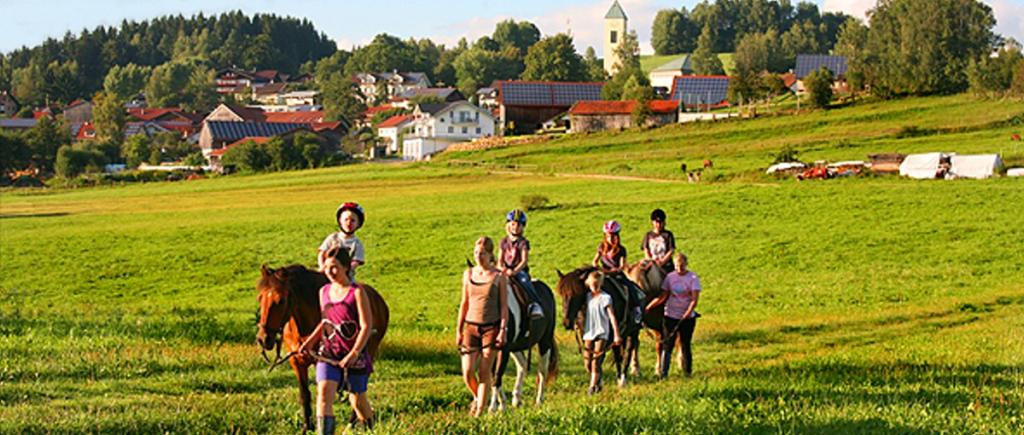 weidererhof-schweinhütt-bauernhof-regen-zwiesel