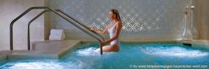 Read more about the article Bayerischer Wald Pension mit Pool oder Whirlpool in Bayern