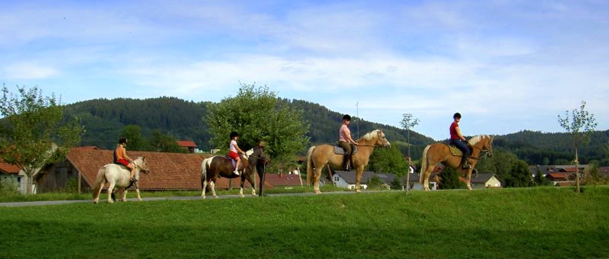 Bauernhof in Zwiesel Reiterhof mit Wellness in Bayern
