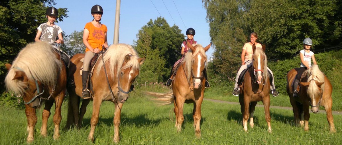 Ferienhof Zankl in Miltach Reiten und Kanu fahren am Regen ab Blaibach